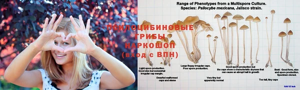 мефедрон Алзамай