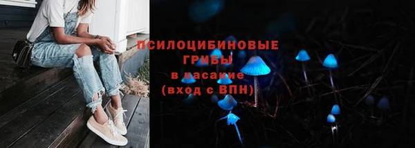 apvp Алексин
