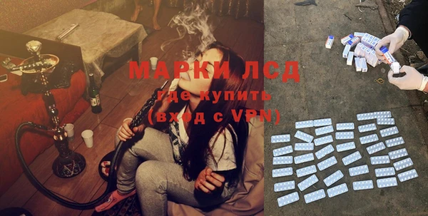 apvp Алексин