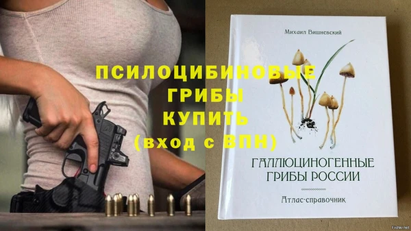 apvp Алексин