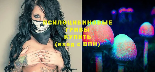 стафф Алексеевка