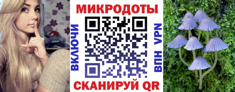 Галлюциногенные грибы Cubensis  продажа наркотиков  Красноярск 